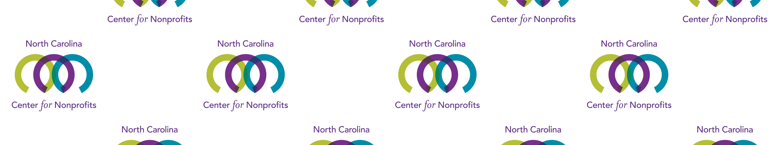 Step and repeat NCCNP logo banner