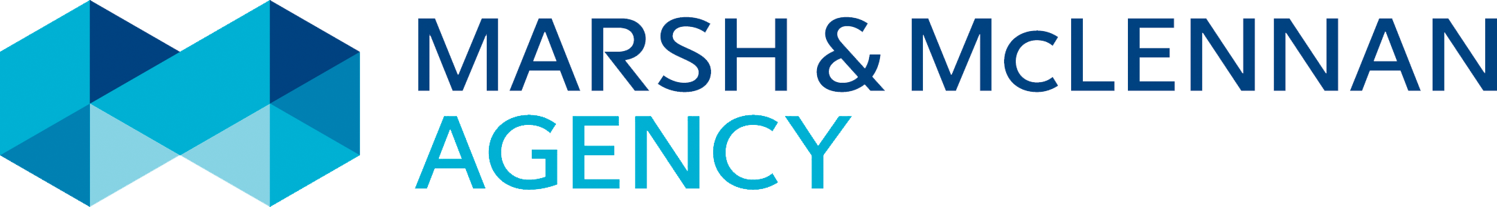 Marsh McLennan Agency Healthcare logo