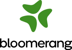 Bloomerang logo with 3 green arrow shapes
